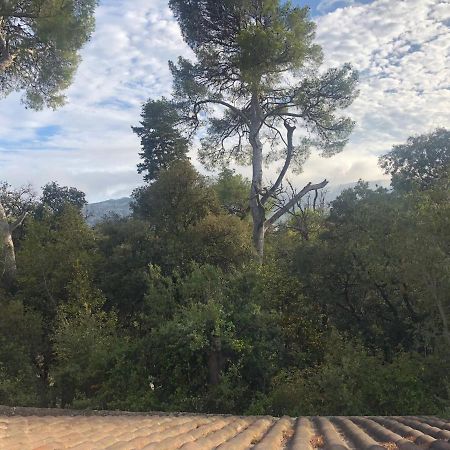 Les Magnolias Bed & Breakfast Marseille Ngoại thất bức ảnh