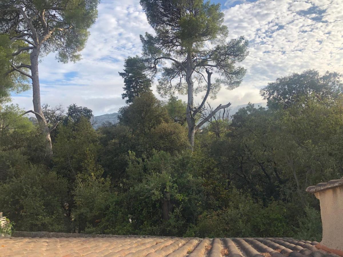 Les Magnolias Bed & Breakfast Marseille Ngoại thất bức ảnh